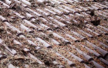 Broad Green roof cleaning companies