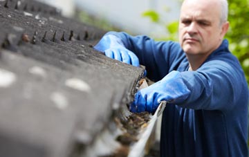 cleaning and inspecting Broad Green roofs