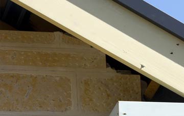 soffit repair Broad Green